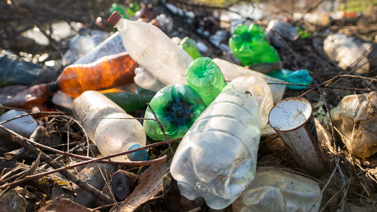 Why We're Ditching Plastic: Our Journey to a Sustainable Future