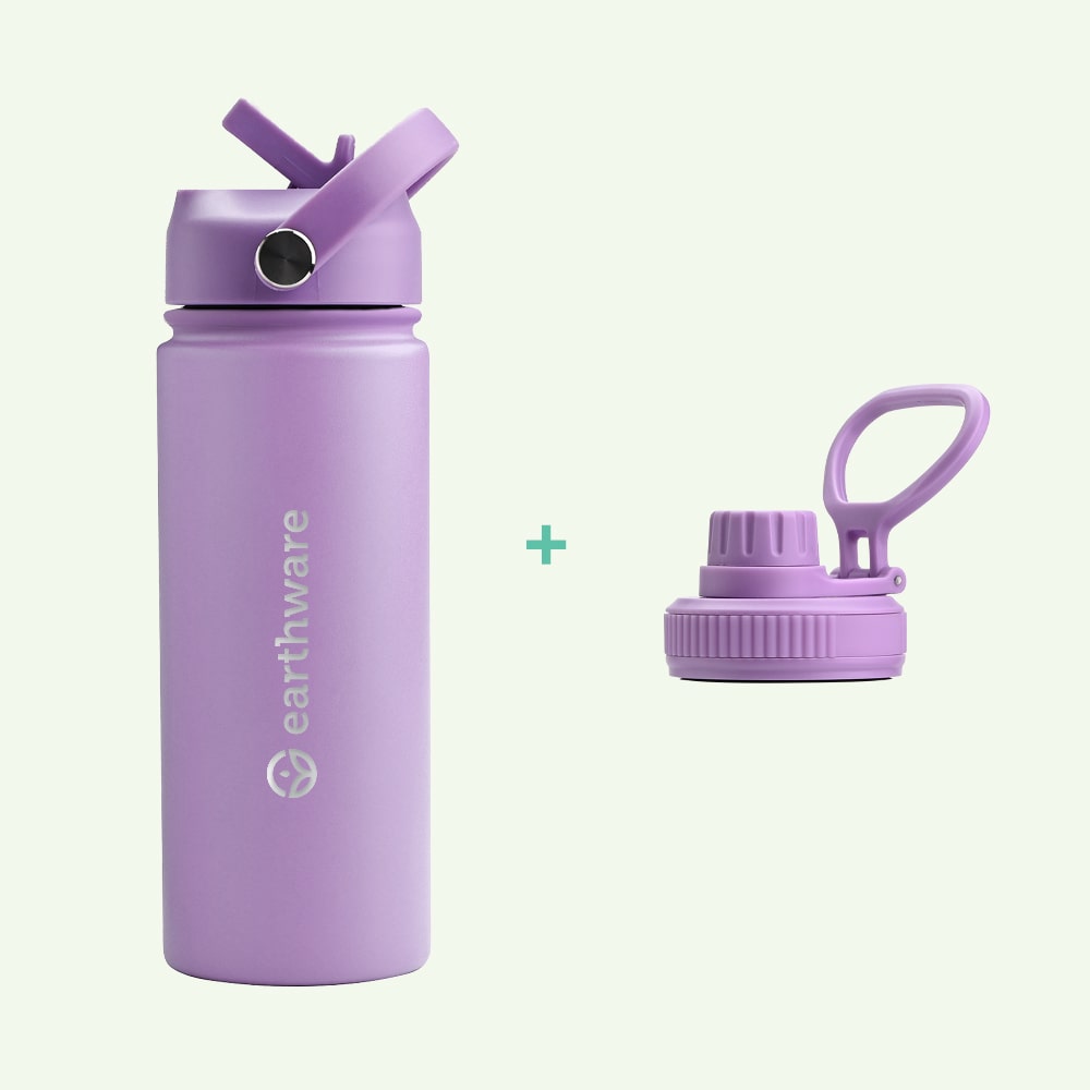 Earth Bottle Premium Insulated Water Bottle with 2 x Caps - Purple (550ml)