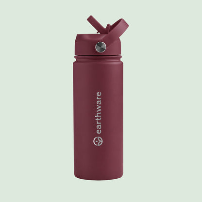 Premium Insulated Water Bottle with 2 x Caps - Dusty Plum (550ml)