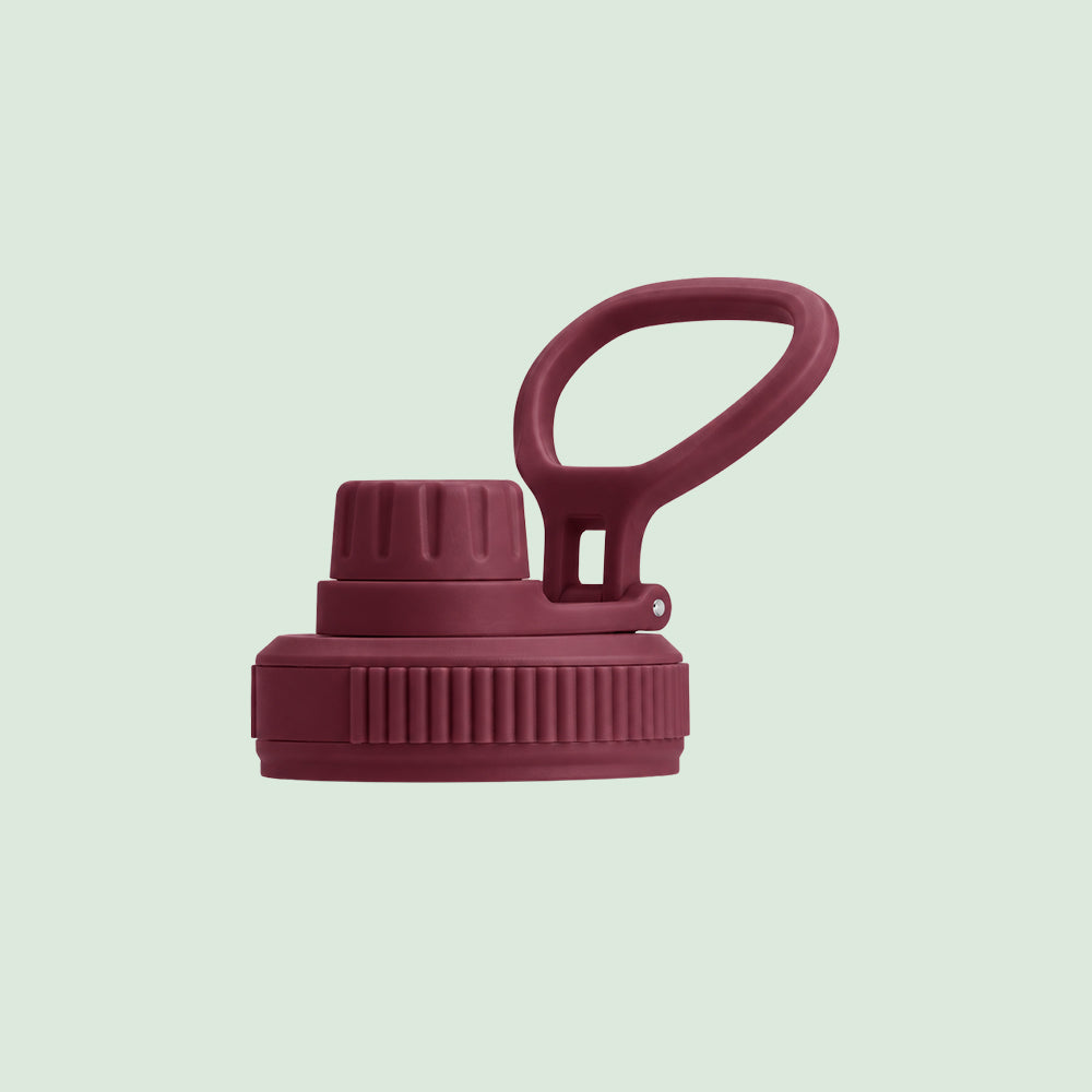 Premium Insulated Water Bottle with 2 x Caps - Dusty Plum (550ml)