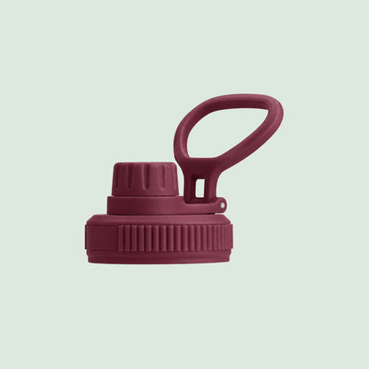 Premium Insulated Water Bottle with 2 x Caps - Dusty Plum (550ml)