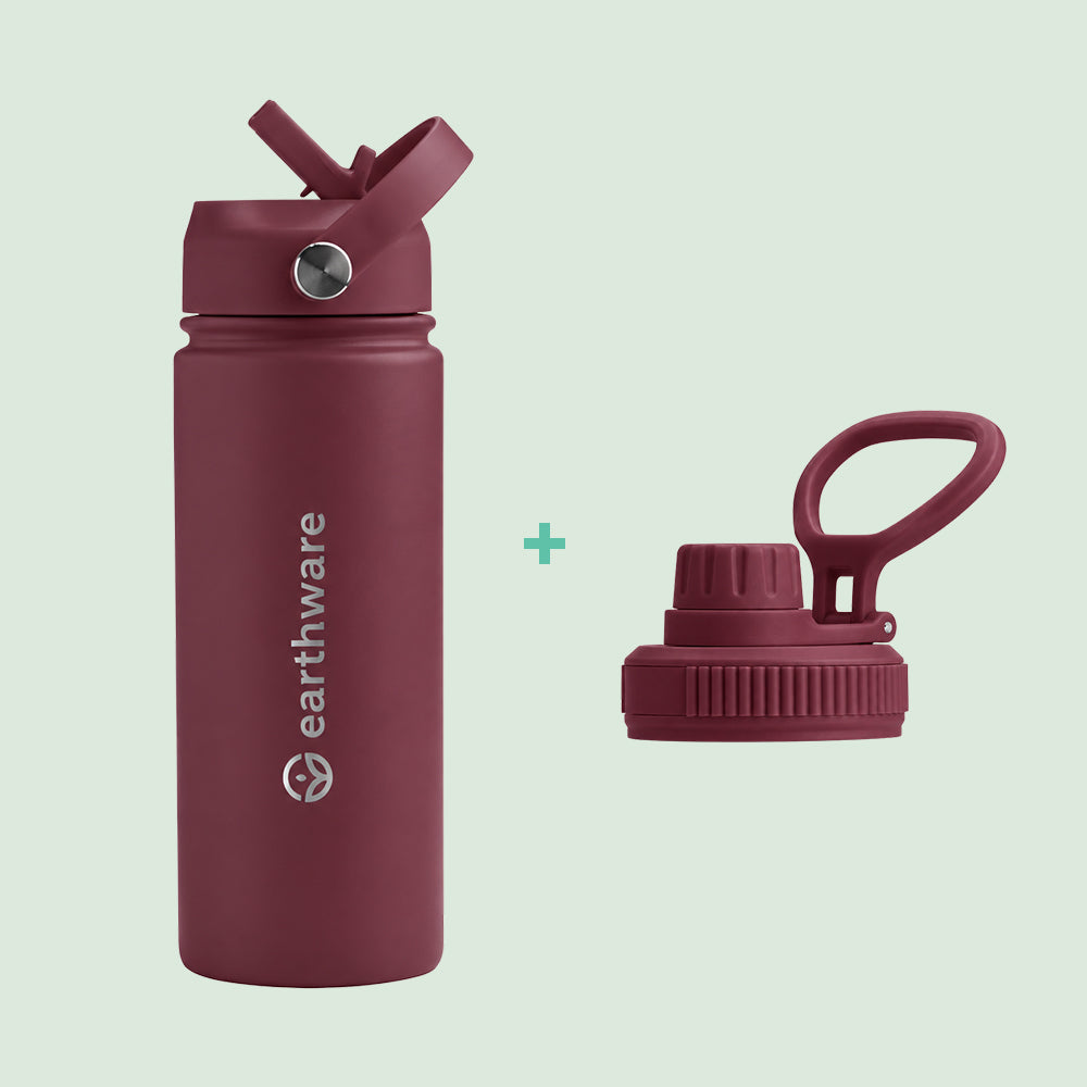 Premium Insulated Water Bottle with 2 x Caps - Dusty Plum (550ml)